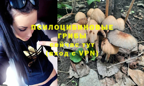 ПСИЛОЦИБИНОВЫЕ ГРИБЫ Алексеевка