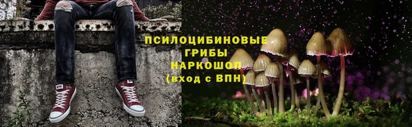 меф Алексин