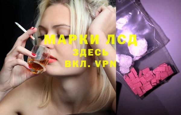 ГАЛЛЮЦИНОГЕННЫЕ ГРИБЫ Рославль