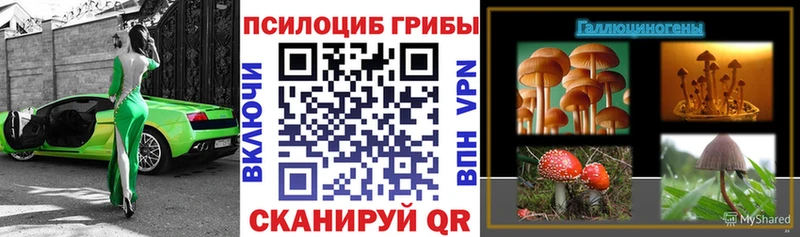 Псилоцибиновые грибы ЛСД Заволжье