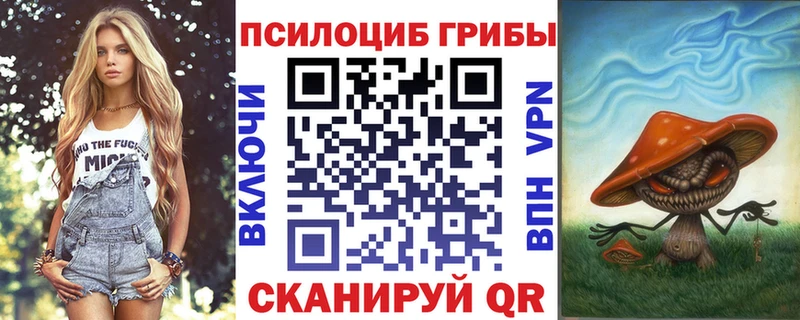 блэк спрут ссылка  Заволжье  Галлюциногенные грибы мицелий 
