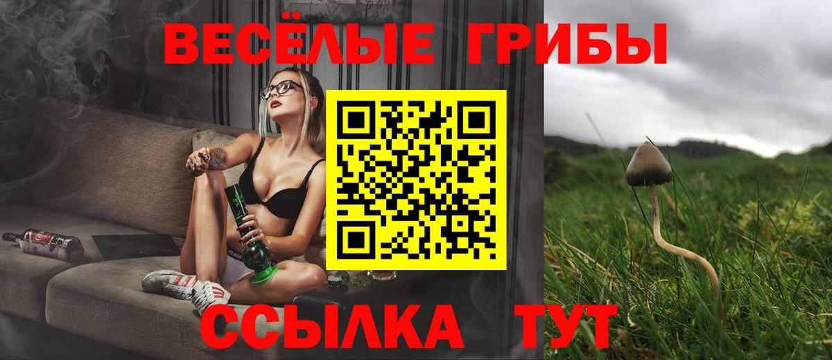 Галлюциногенные грибы Psilocybine cubensis  Вход с VPN  Заволжье 