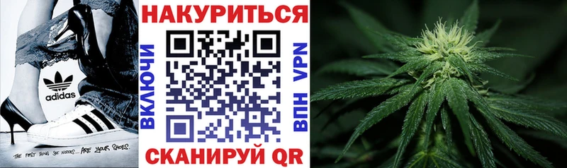 Марихуана гибрид  Заволжье 